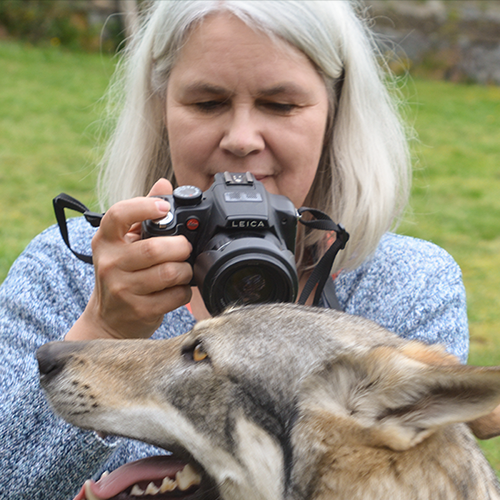 Anja with a leica camera in her hand taking a picture of a Czechoslovakian wolf dog