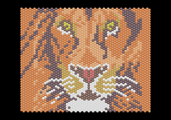 Lion Matrix